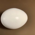 Egg Substitutes