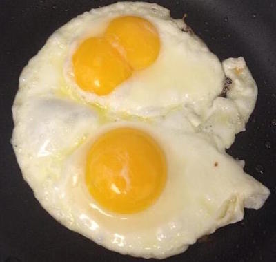 double yolk