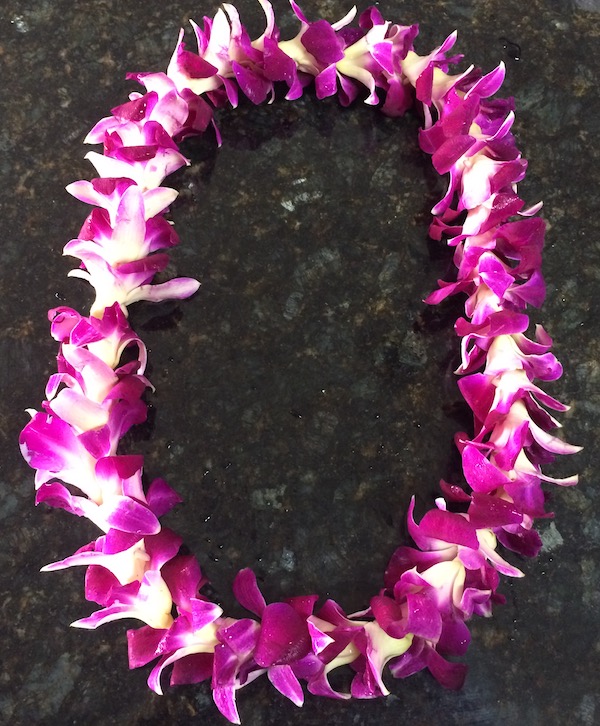 how long does a lei last