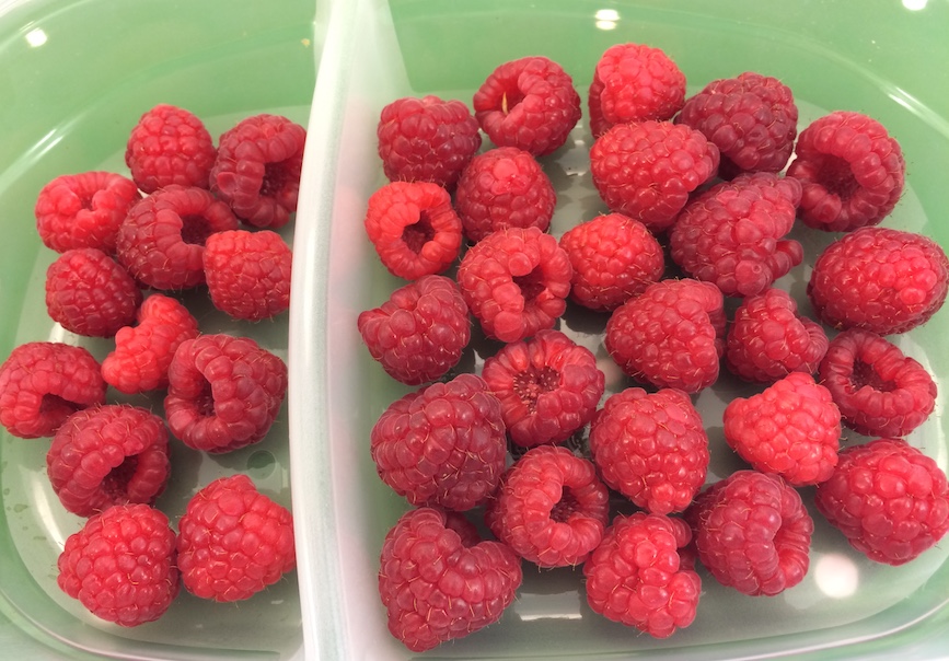 store raspberries
